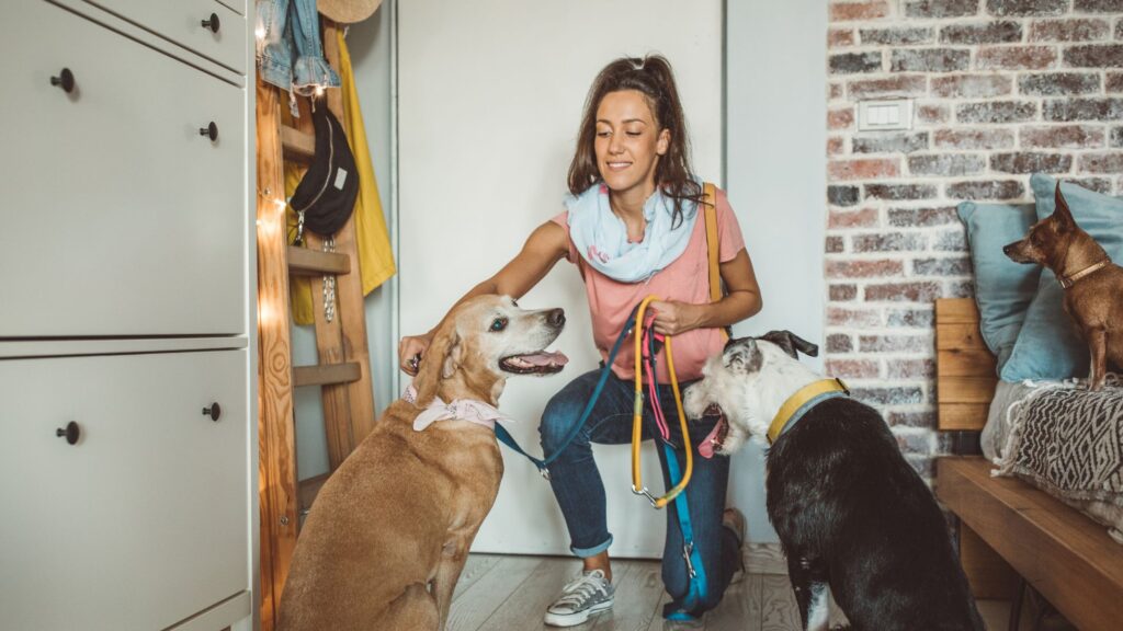 sivutyo-tulo-kevytyrittajalle